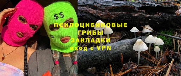 дурь Алексеевка