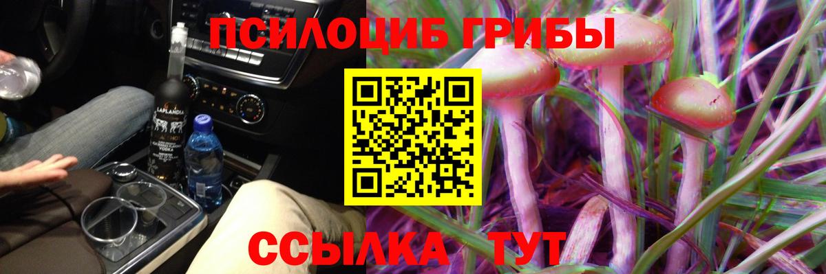 Псилоцибиновые грибы Cubensis  даркнет сайт  Полысаево  Псилоцибиновые грибы мухоморы  Вход с VPN 